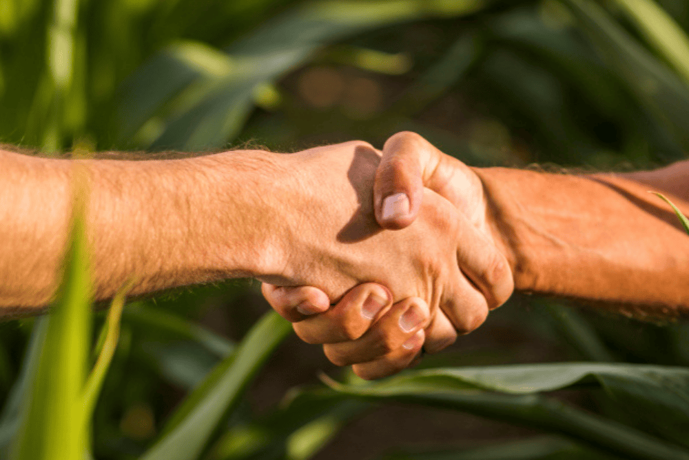 unificación_agrodesa